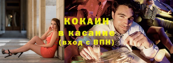 мяу мяу мука Каменногорск